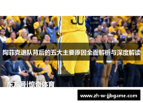 陶菲克退队背后的五大主要原因全面解析与深度解读